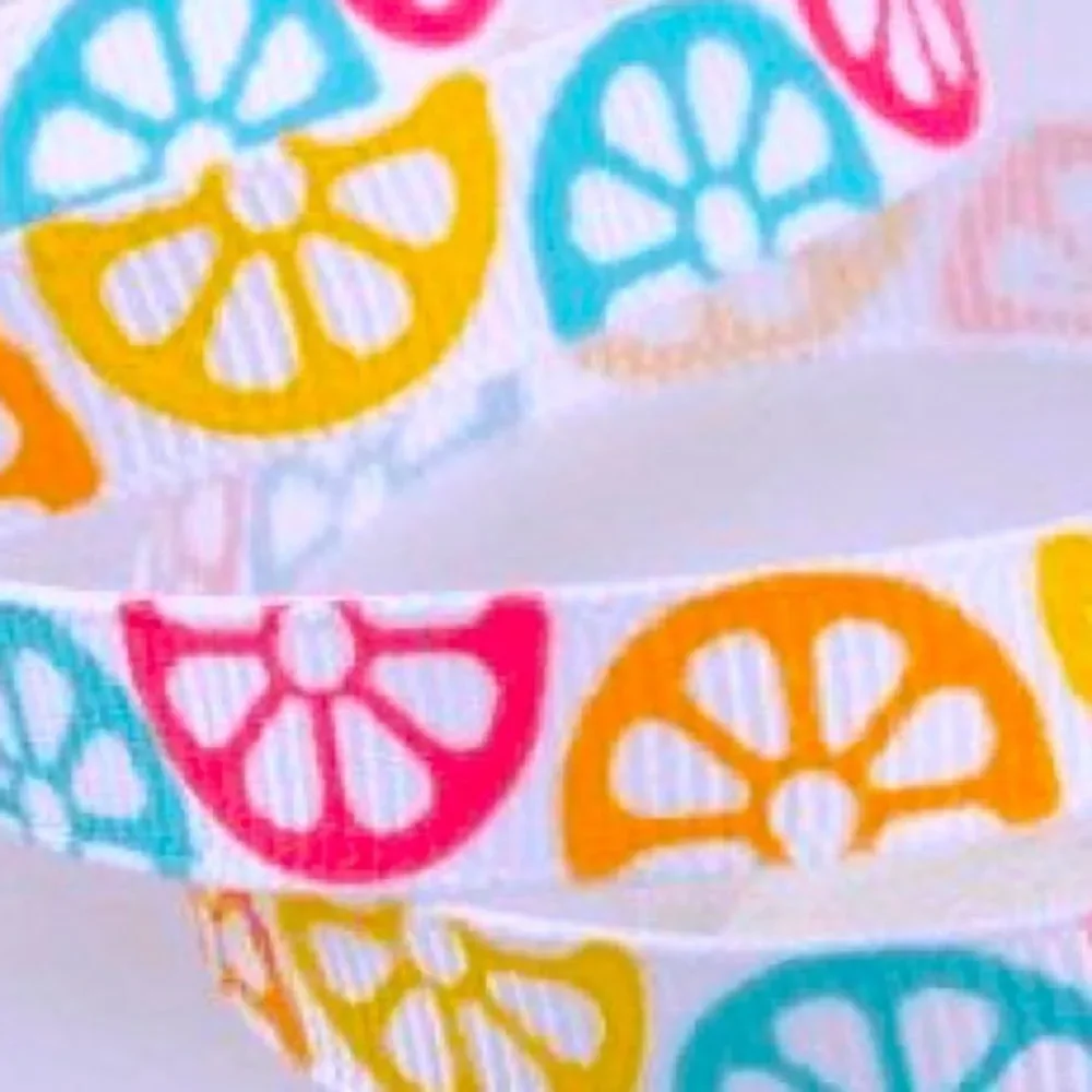 Grosgrain Ribbon 3/8” 10 yard bundle citrus fruit summer colorful shipping ship
